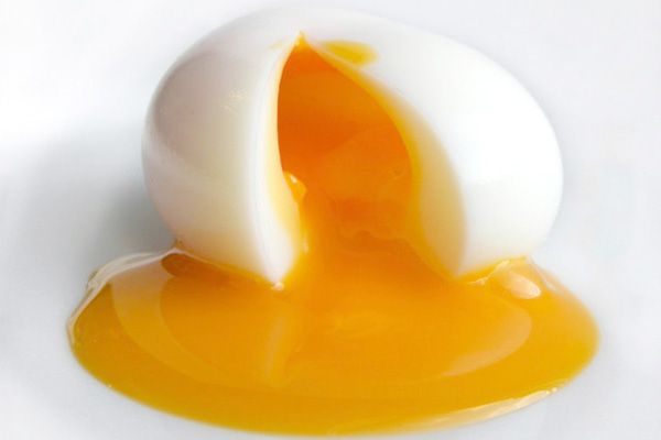 yumurta sarısı
