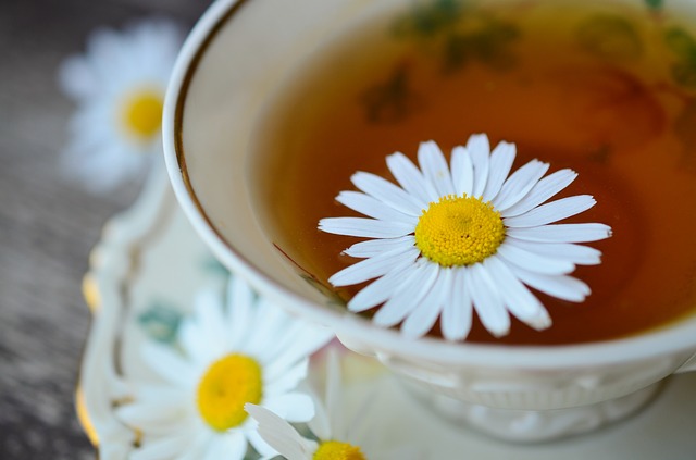 chamomile-829487_640